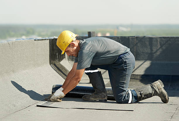 Best Cellulose Insulation in Belford, NJ